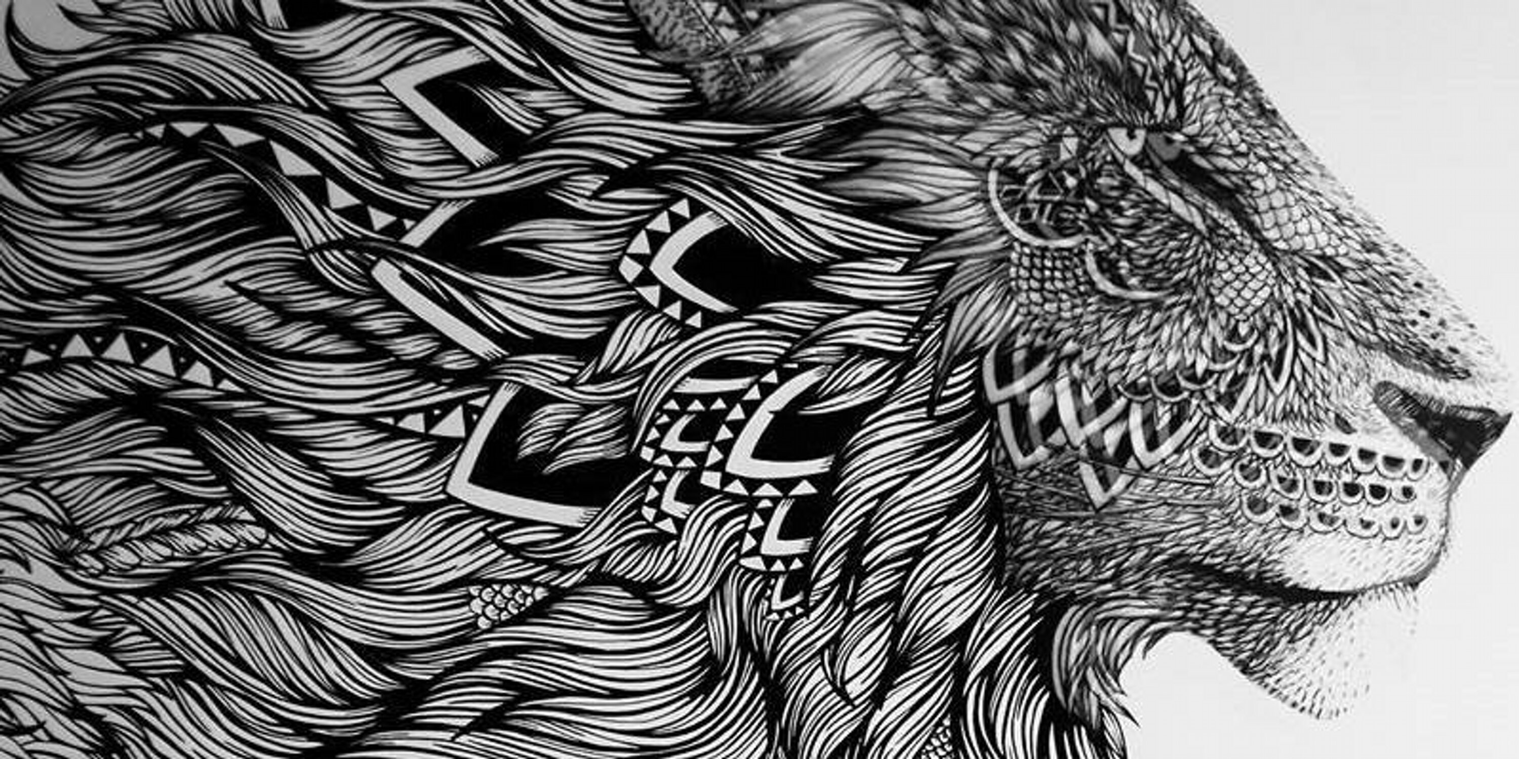 RobinAndes22's profile banner image