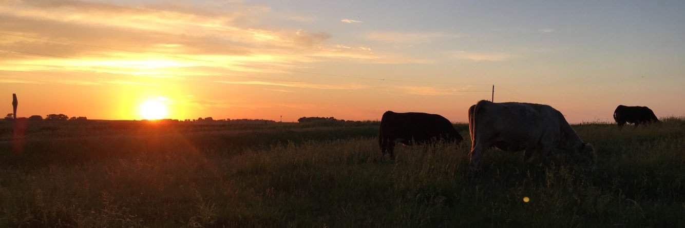 DOhlrichs's profile banner image