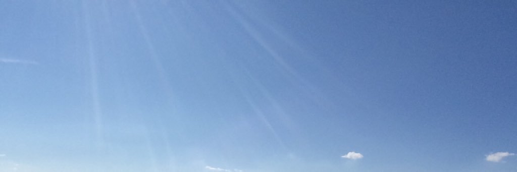 laiacarbu's profile banner image