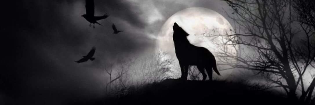 Nickywolfx's profile banner image