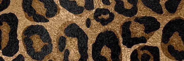 seddasyon's profile banner image