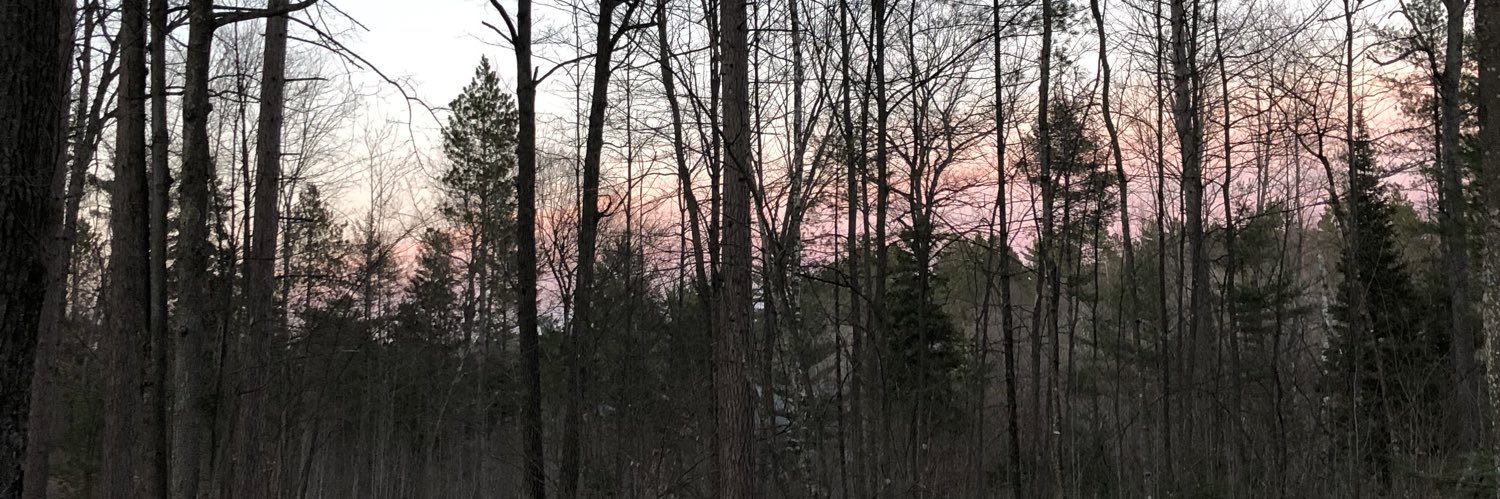 Motylinski13's profile banner image