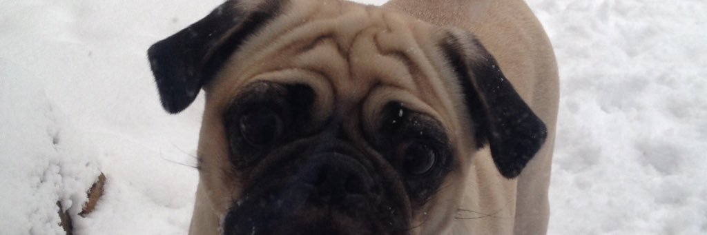 camdshaw's profile banner image