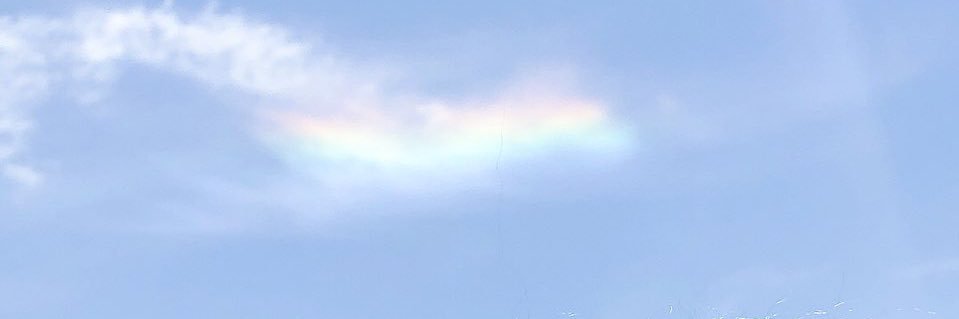 aimewrt's profile banner image