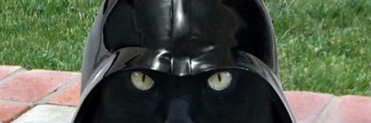 negrita fletera banner