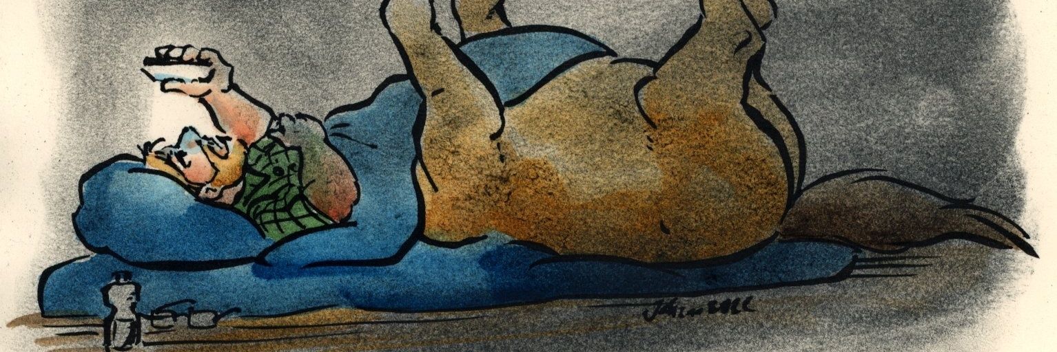 Pamiiruq's profile banner image