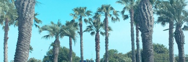 alessandraaa18's profile banner image