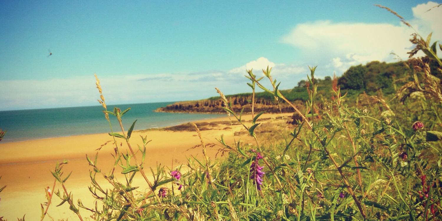 lligwybeach's profile banner image