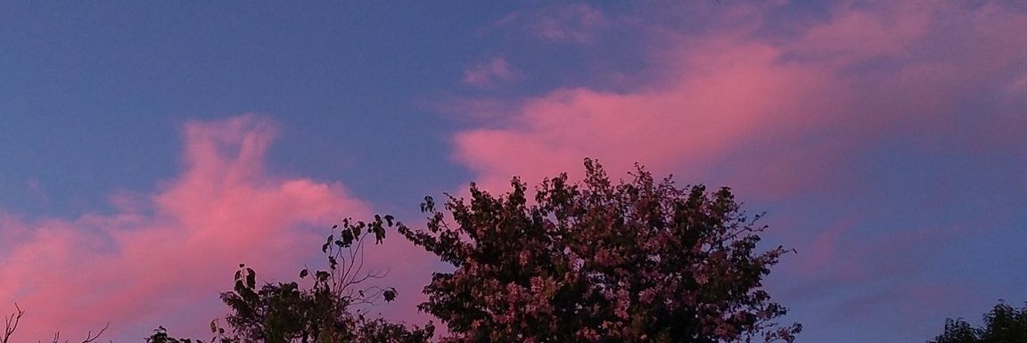 PoyiOk's profile banner image