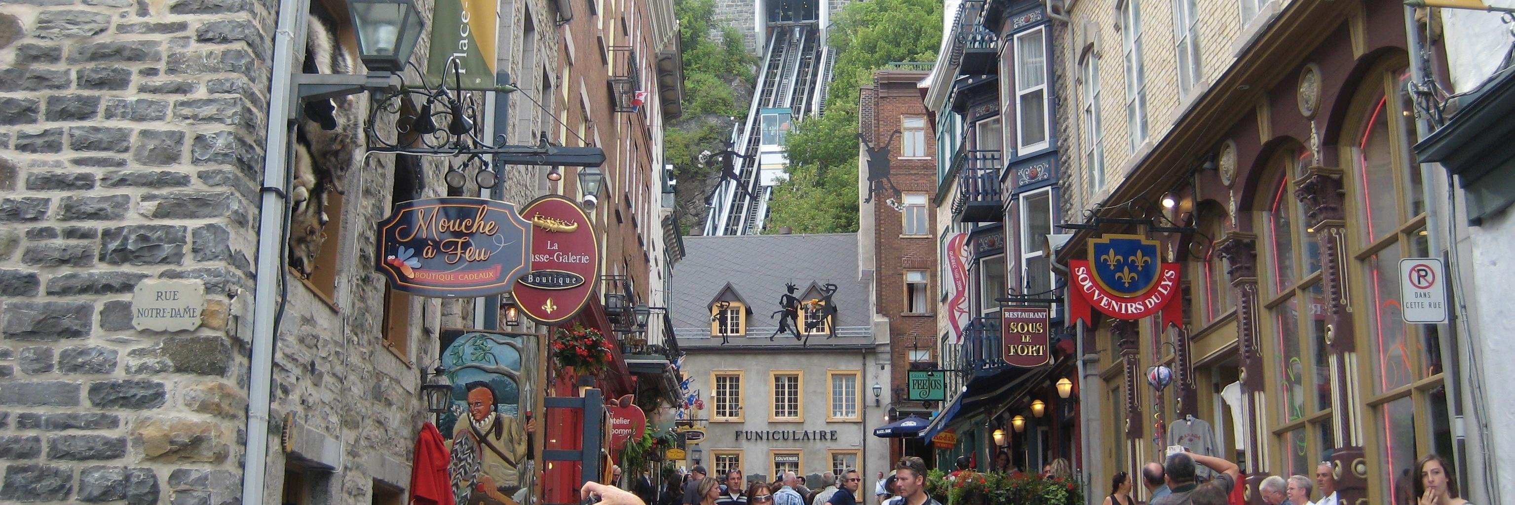 Madame Baxter banner