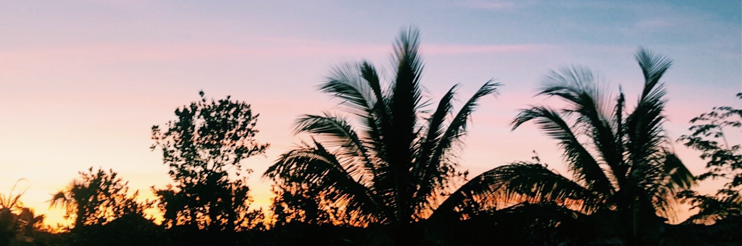 BrigitMcDonnell's profile banner image