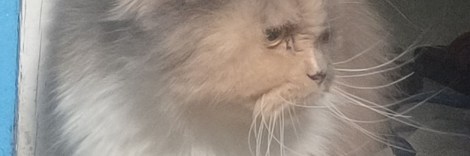 Dery Ramdhani banner