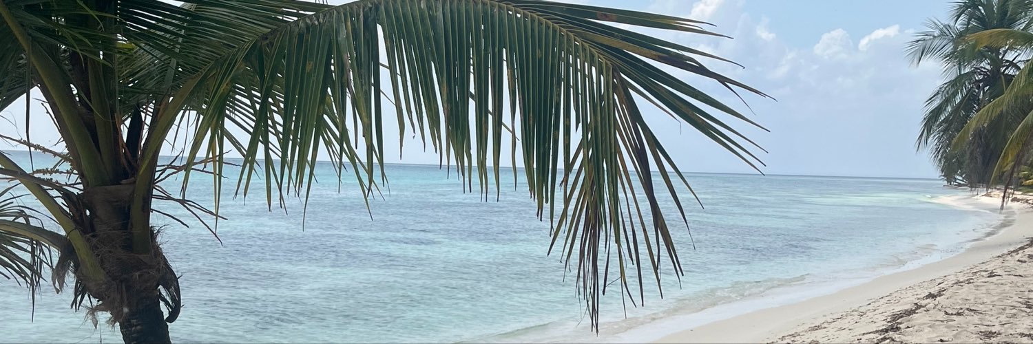 Luzkvc's profile banner image