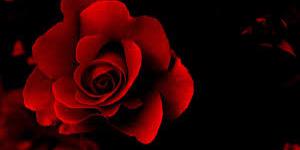 LenyRock's profile banner image