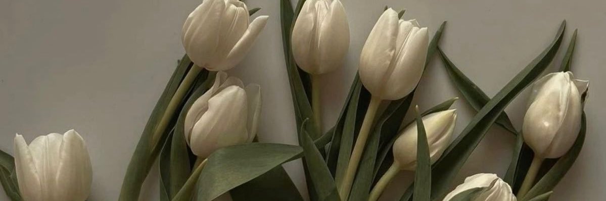 caricare_e's profile banner image