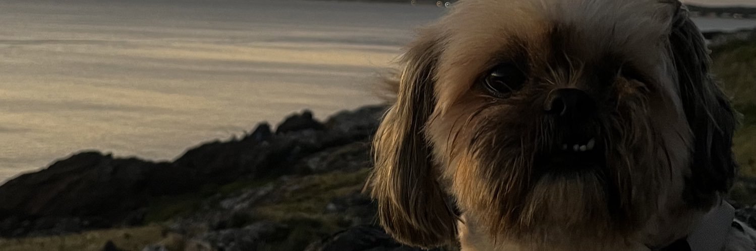 CibeeCazulo's profile banner image