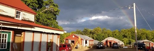 Rebecca McWilliams banner