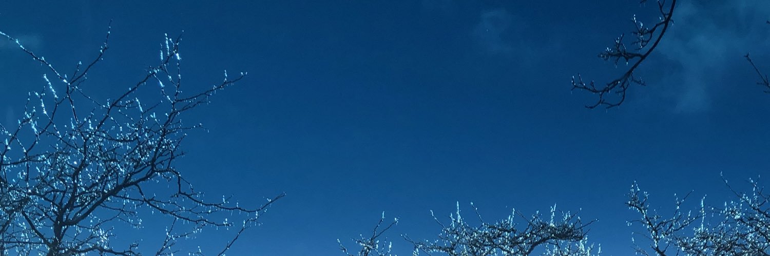 ssierraashley's profile banner image