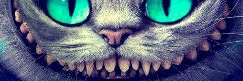 JoohnPaez's profile banner image