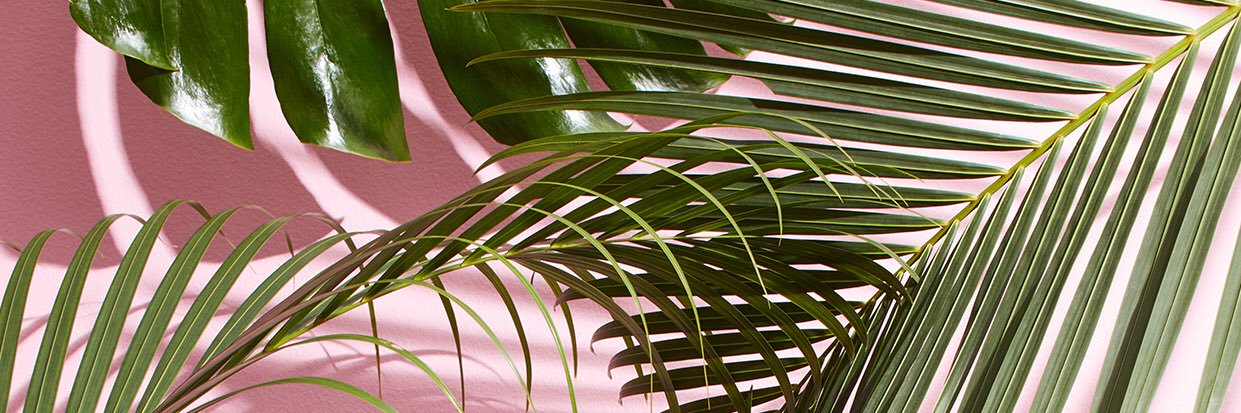 LoisCamacho's profile banner image
