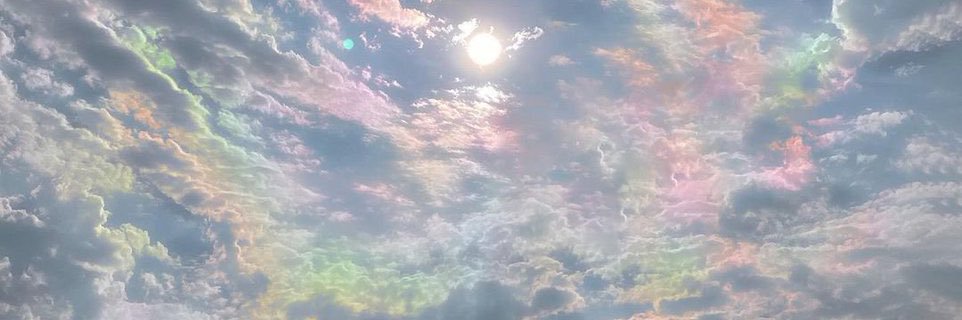 autumnwormm's profile banner image