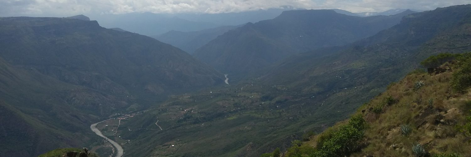 Alias Lina Tovar Pancreatica banner