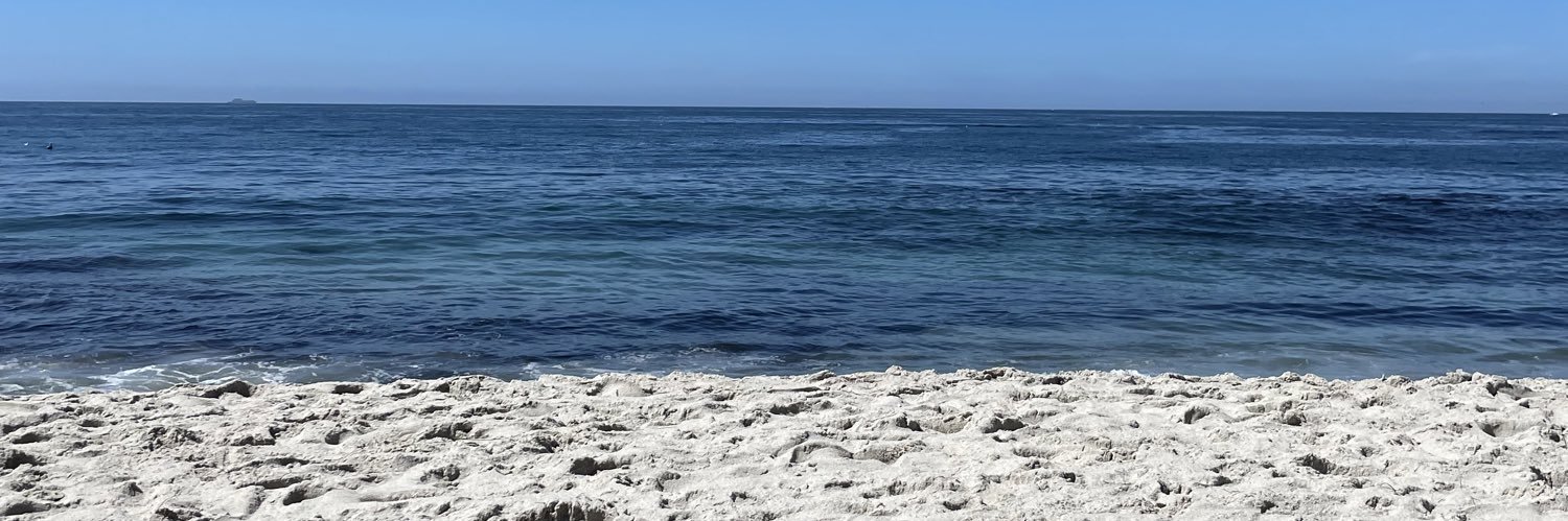 Shanna Ezzell banner