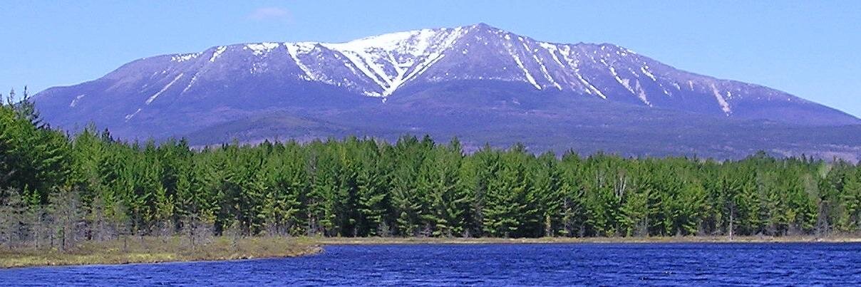 Green and Prosperous banner