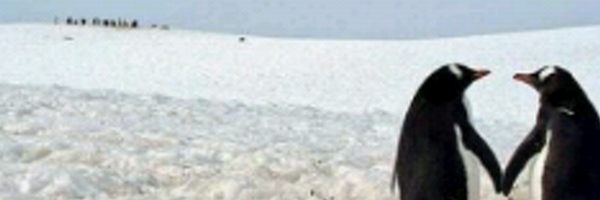 GabriellaYursti Profile Banner