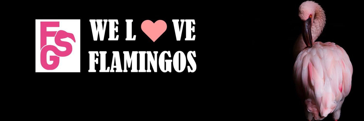 FlamingoSpecGrp's profile banner image