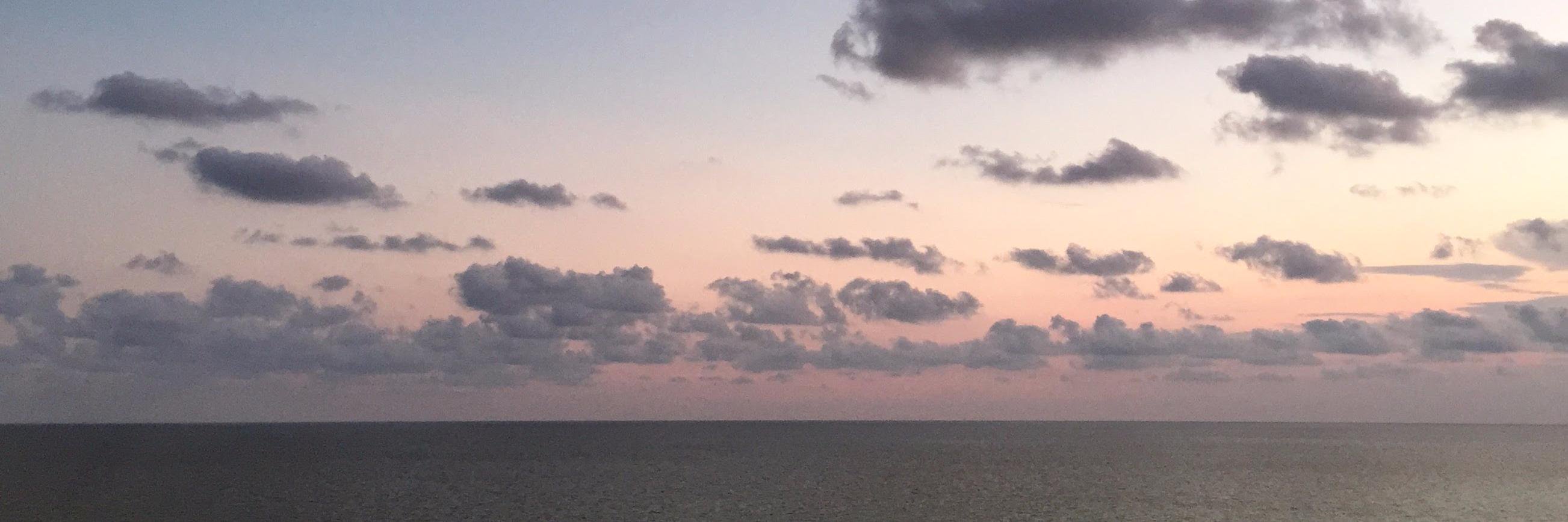 Eric Williams Jr. banner