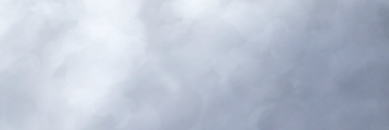 manudelamnb banner