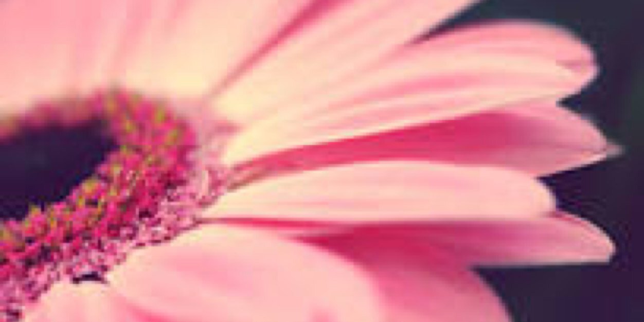 Lilla_Jacks's profile banner image