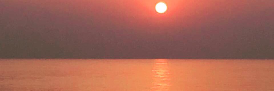 Gaston Gaudio banner