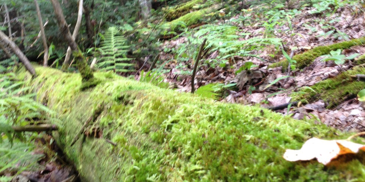 exploreontario's profile banner image