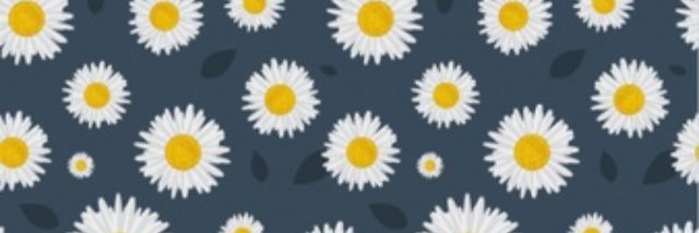 Daisy2Flower's profile banner image