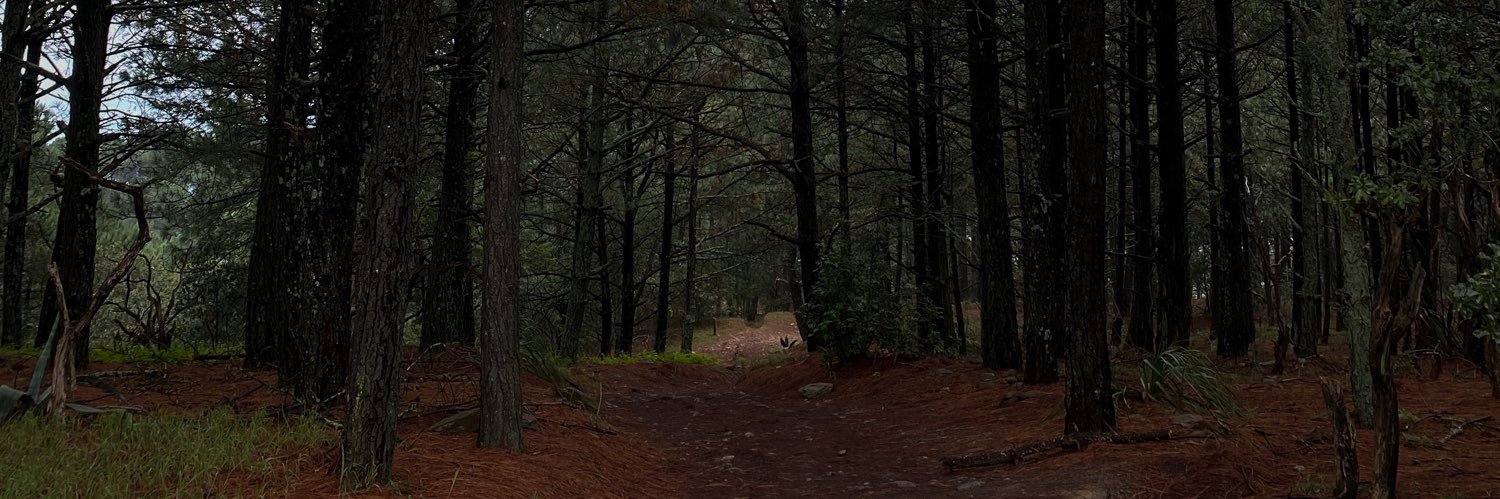 Martinmedros's profile banner image
