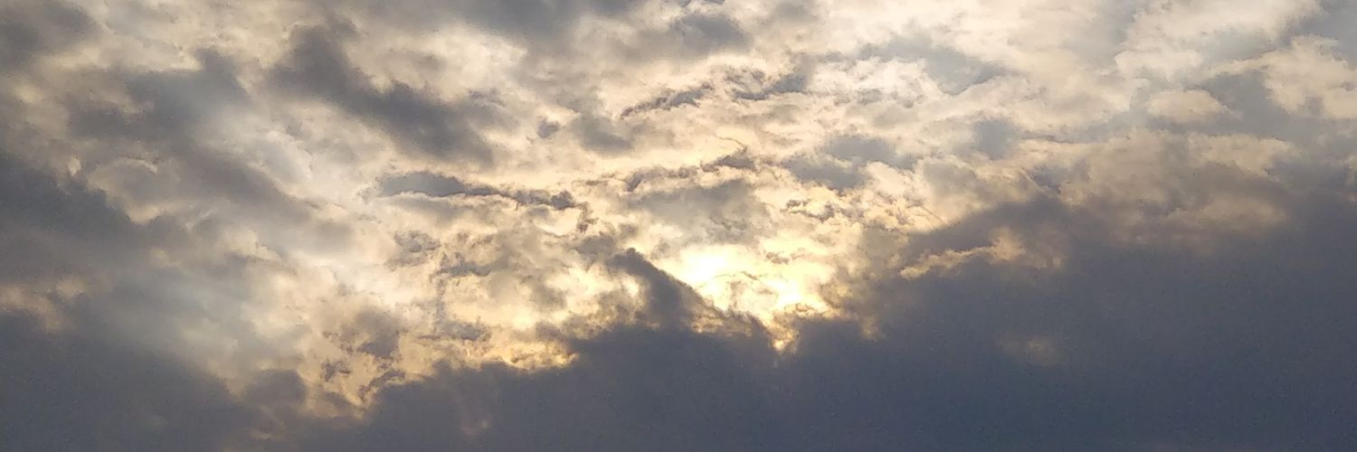 taparia21's profile banner image