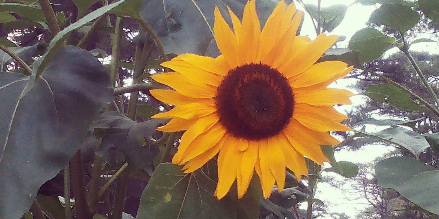 m_dabu's profile banner image