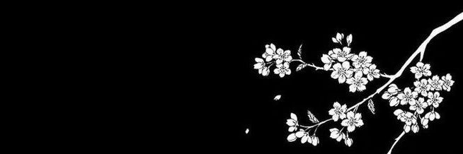 marsy⋆₊˚⊹♡ banner