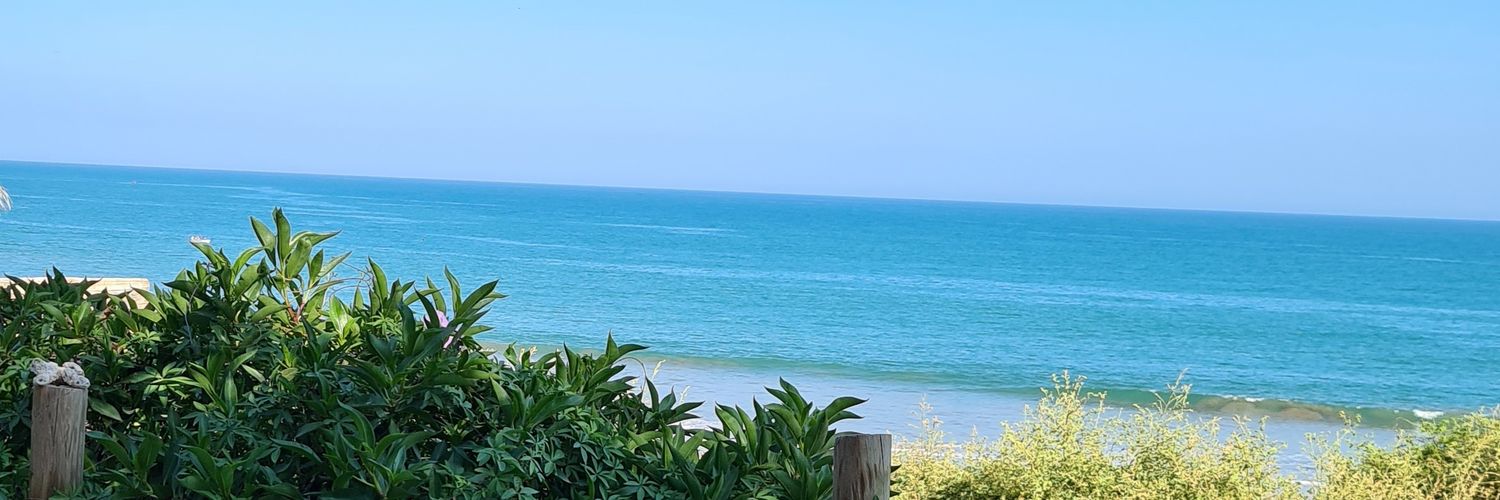 paninoconpollo's profile banner image