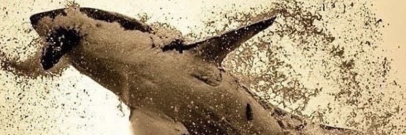 claudinjr's profile banner image