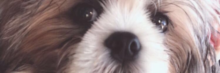 anamariamdc's profile banner image