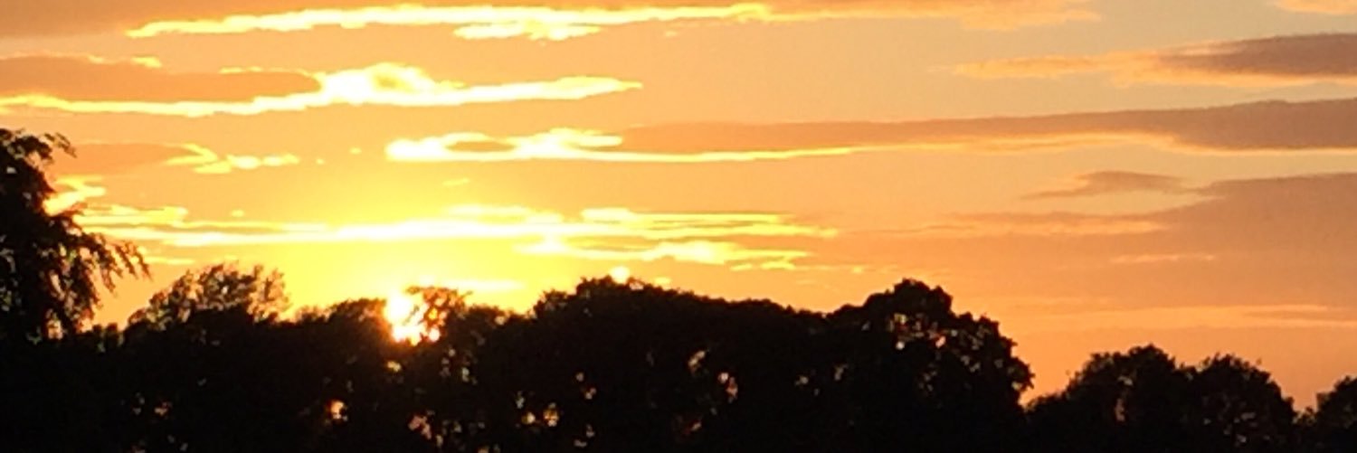 sallyB_'s profile banner image