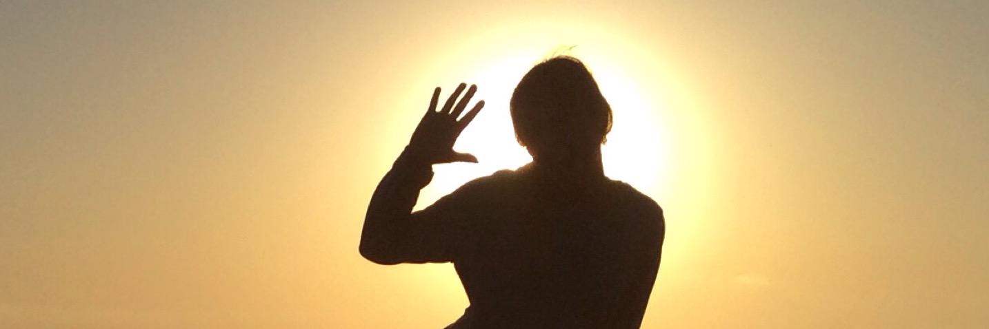SidBulldog's profile banner image