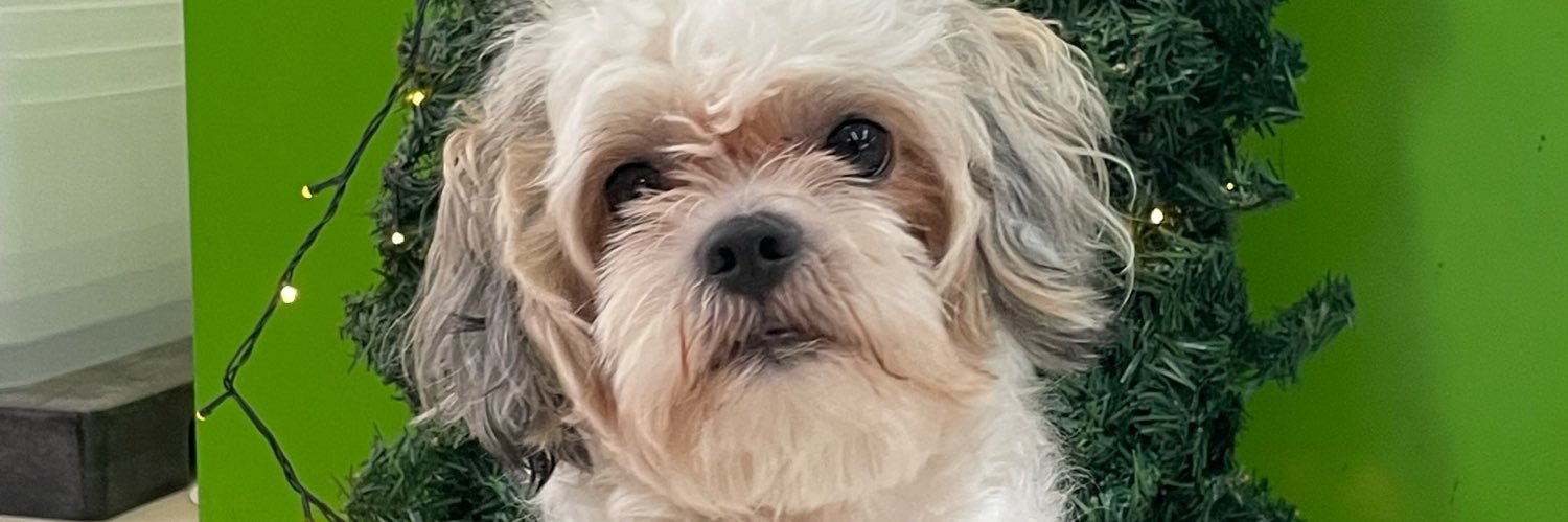 eloooolooooiiii's profile banner image