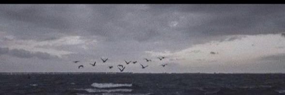 haiix56's profile banner image