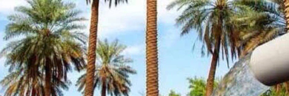 alfehaid2000's profile banner image
