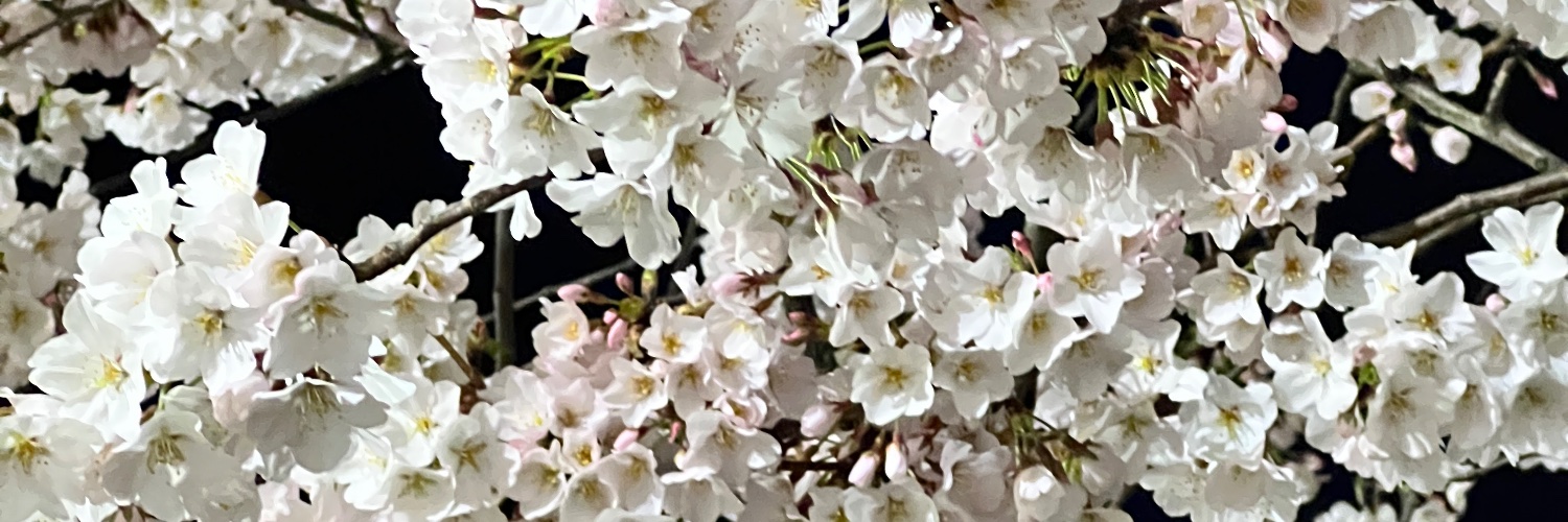 Dorivyn's profile banner image