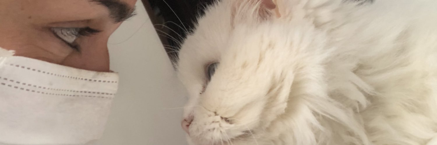 JULIANAMESSIERR's profile banner image